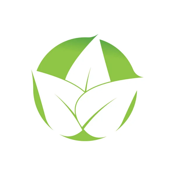 Leaf Logo Vector Icon Design Template — Stock Vector
