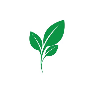 Yeşil yapraklı ekoloji doğa element vektörü