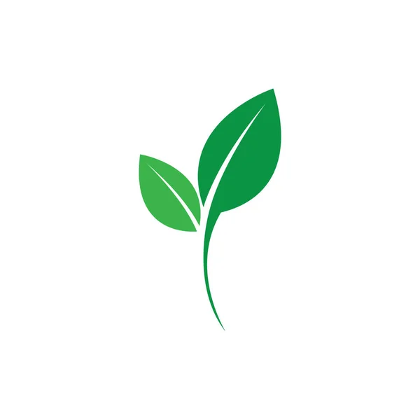 緑の葉生態系の自然要素ベクトル — ストックベクタ