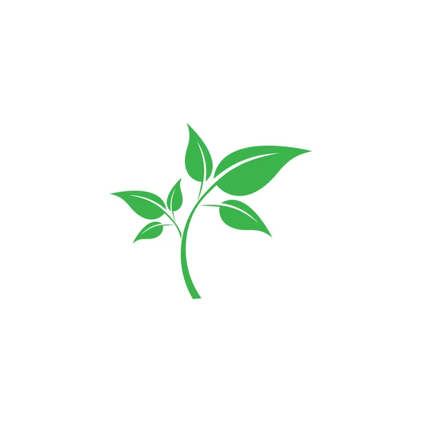 Zöld Levél Ökológia Természet Elem Vektor — Stock Vector