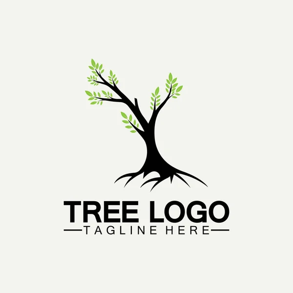 Vector Silueta Árbol Plantillas Árbol Logotipo Raíces Árbol Vida Diseño — Vector de stock