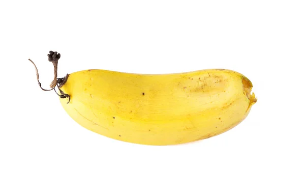 Banane mûrissant fond blanc . — Photo