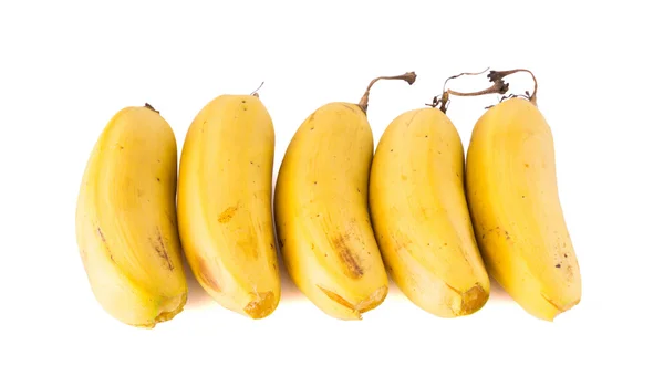 5 바나나 결과 배치 — 스톡 사진