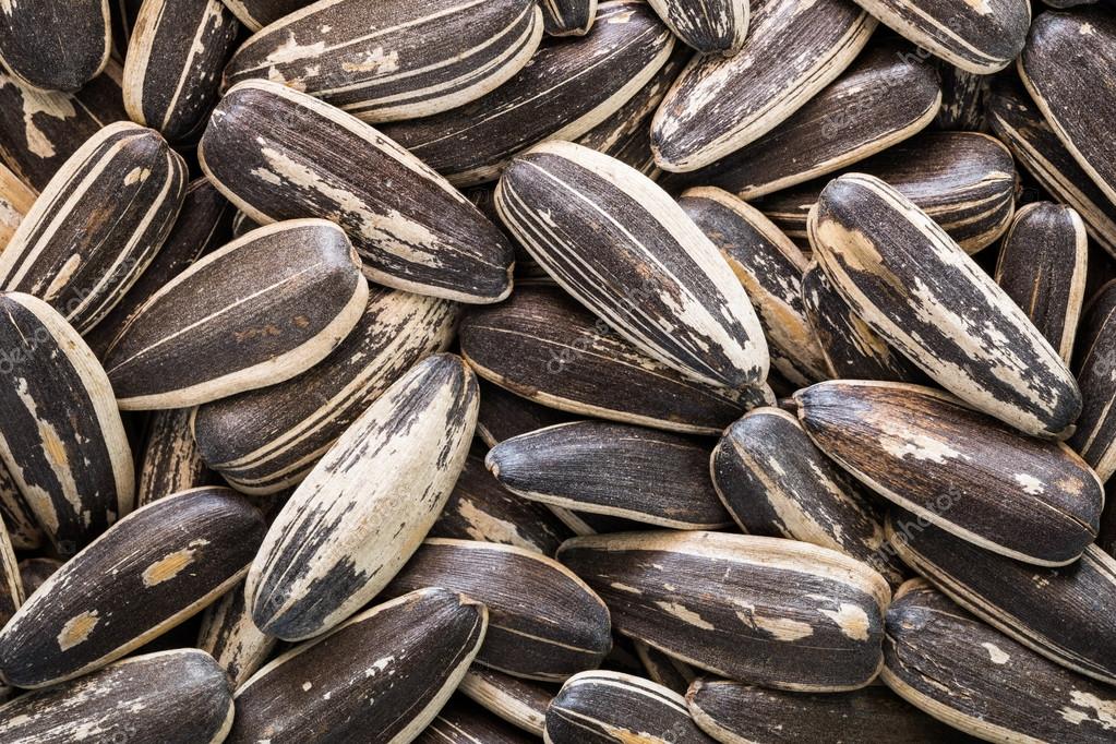 Sonnenblumenkerne Geröstet Und Gesalzen Mit Schale Essen