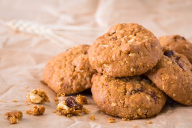 Çikolata kuru üzüm kurabiyeleri