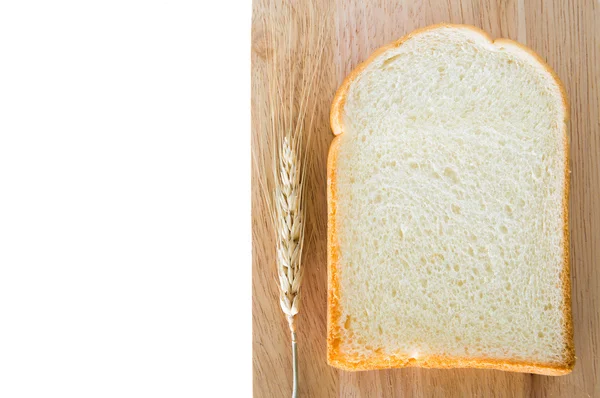 Sneetje brood — Stockfoto