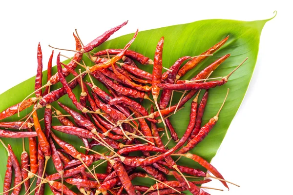 Dried peppers for cooking — Stock Photo, Image