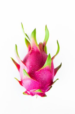 Dragon fruit fresh from the tree clipart
