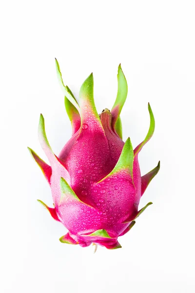 Dragon fruit fresh from the tree — Stock Photo, Image