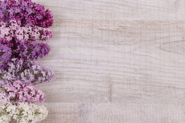 Tahtadaki leylak çiçekleri. Metin için bir yer var.