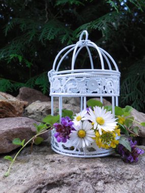 Narin tarla çiçekli bitkilerle süslenmiş beyaz metalden yapılmış küçük zarif bir kafes.).