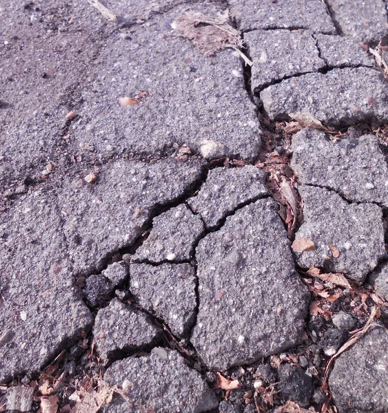 Fragment Old Road Broken Asphalt Surface Cracks Remains Fallen Leaves — Stockfoto