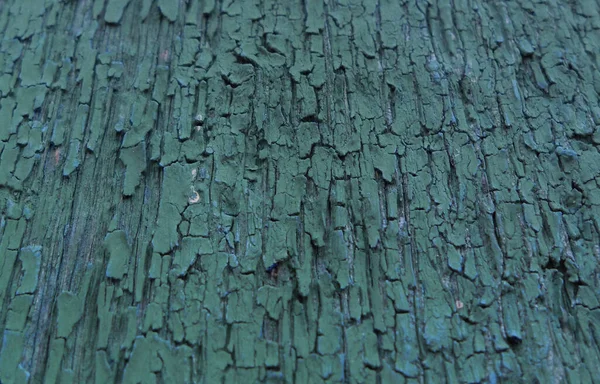 Eski Bir Binanın Ahşap Duvarında Çatlamış Gri Yeşil Boya — Stok fotoğraf