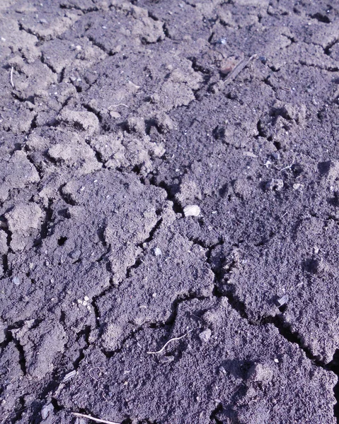 Sol Noir Humide Fissuré Avec Des Cailloux — Photo