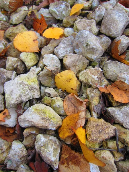 Een Mengsel Van Kalkhoudend Puin Kleurrijke Kiezelstenen Bezaaid Met Heldere — Stockfoto