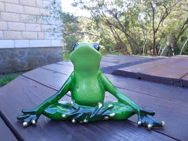 Vtipná Vtipná Žába Populární Plastová Figurka Dělá Jógu Čerstvém Vzduchu — Stock fotografie
