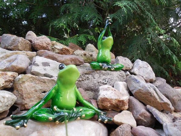 Funny Funny Frogs Popular Polyresin Figurines Sit Rock Slide Yoga — Stock Photo, Image