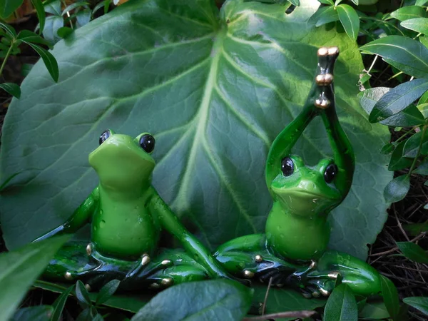 Komik oyuncak kurbağalar (popüler hatıra heykelcikler) bahçe bitkilerinin büyük yapraklarına oturur ve yoga yaparlar..