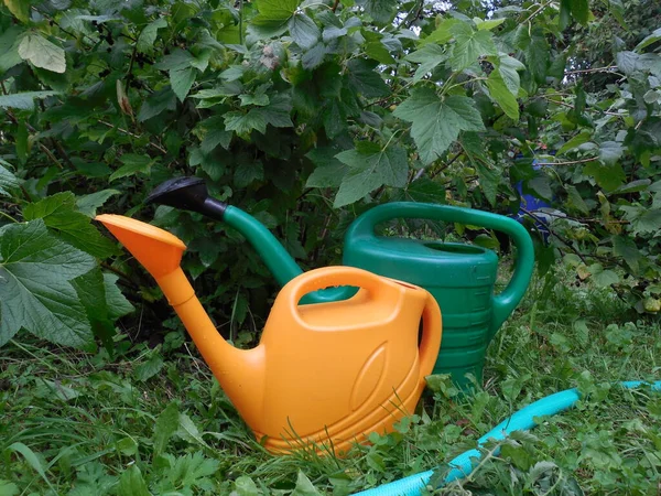 Duas Latas Rega Verde Amarelo Brilhante Ficam Debaixo Arbusto Jardim — Fotografia de Stock