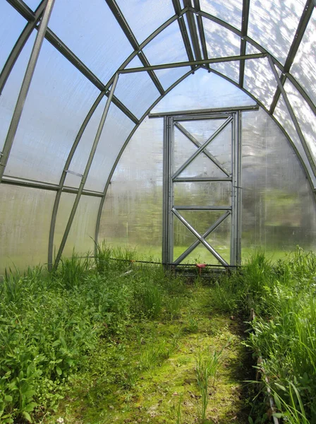 野菜を植える前の早春の庭の温室 道とベッドは雑草で覆われていた — ストック写真