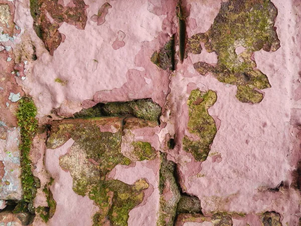 Стара Цегляна Кладка Розсипаною Штукатуркою Тріщинами Покрита Мохом Зеленим Покриттям — стокове фото