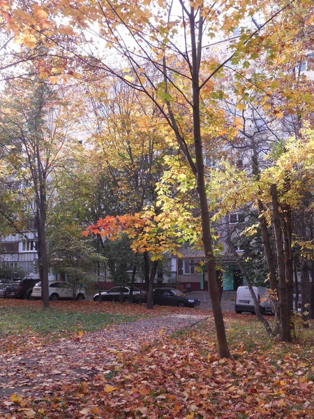 Piękny Jesienny Krajobraz Podczas Opadu Liści Dzielnicy Mieszkalnej Starymi Domami — Zdjęcie stockowe