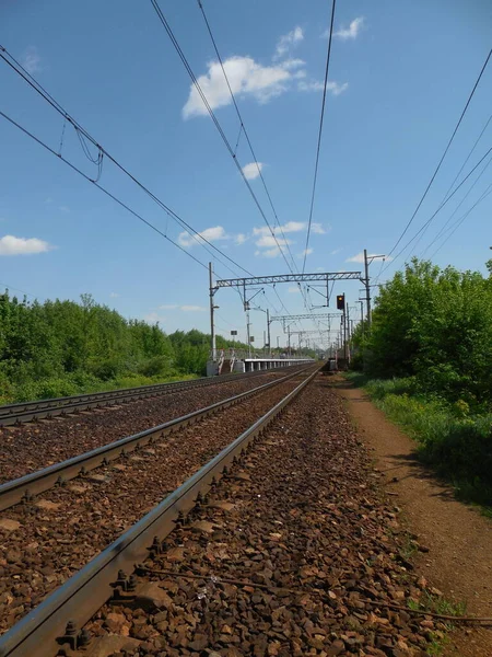 Spoorweg Dijk Het Platteland Rails Grind Vullen Hoogspanningslijn Bosgordel Een Stockafbeelding