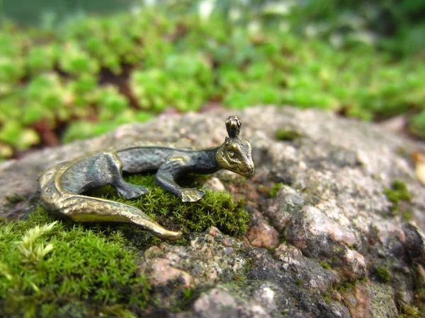 Kleine Elegante Metalleidechse Gartendekoration Garten Auf Einem Bemoosten Stein — Stockfoto