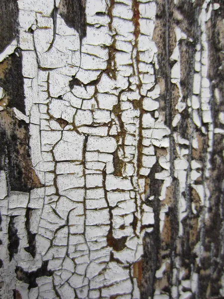 Bardzo Stara Drewniana Ściana Pokryta Prawie Peelingiem Pokręconą Białą Farbą — Zdjęcie stockowe
