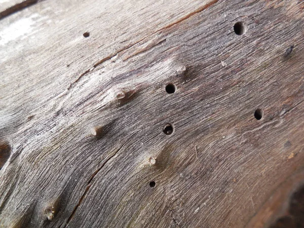 Ένα Παλιό Πρόβλημα Στο Οποίο Στρογγυλές Τρύπες Είναι Εμφανώς Ορατές — Φωτογραφία Αρχείου