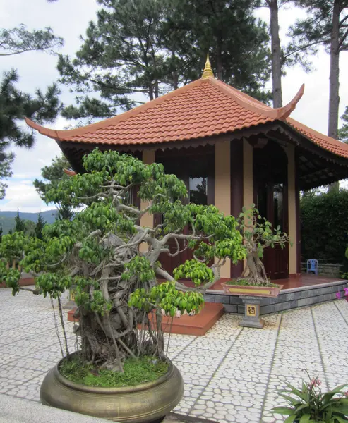 ベトナム 2016年10月 東南アジア諸国の伝統的な仏教寺院複合体の領土の庭園パビリオンと盆栽 — ストック写真