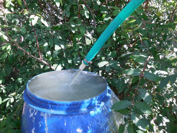 Water Watering Garden Poured Large Blue Barrel Strong Stream — Stock Photo, Image