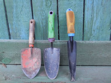 Yıpranmış boyalı eski yeşil tahtalarda (yabani otları ayıklamak ve tohum çıkarmak için) el aletleri.