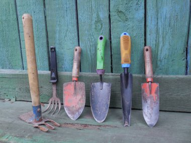 Yıpranmış boyalı eski yeşil tahtalarda (yabani otları ayıklamak ve tohum çıkarmak için) el aletleri.