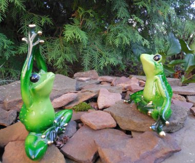 Komik kurbağalar (sevimli yeşil figürler, hatıra oyuncakları) bahçede güzel taşlar üzerinde ve yoga yaparlar..