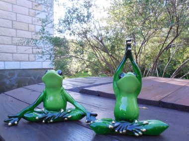 Komik kurbağalar (sevimli yeşil figürler, hatıra oyuncakları) bahçede ve yoga yaparlar..