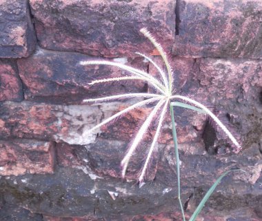 Çok eski, kararmış ve çatlak bir duvarın arka planında kabarık bir ışık deseni var..