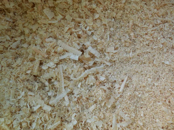 Dry Fine Wood Shavings Sawdust — Stock Photo, Image