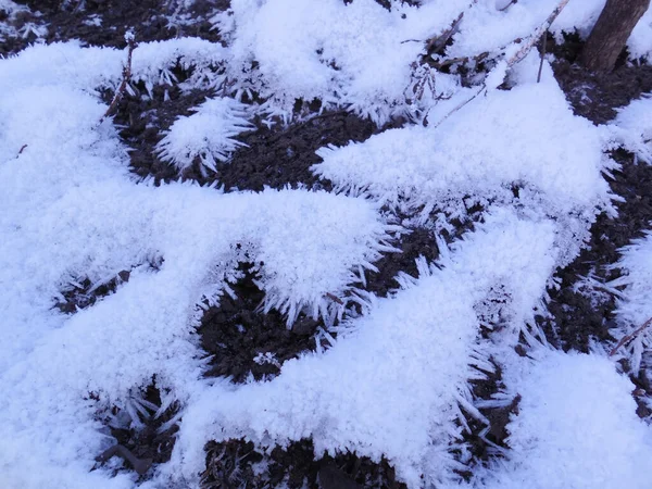 Los Primeros Cristales Nieve Escarcha Sobresalen Suelo Desnudo Arado Otoño — Foto de Stock