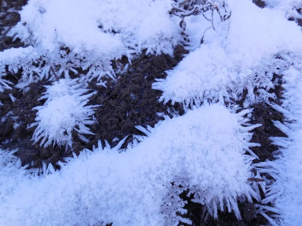 Les Premiers Cristaux Neige Gel Détachent Sur Sol Dénudé Labouré — Photo