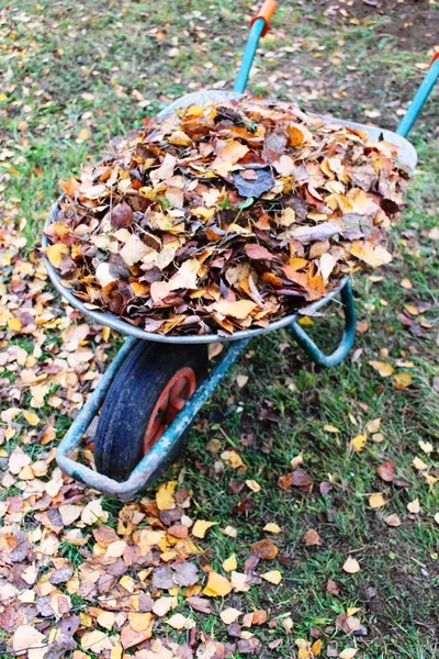 Gele Bruine Bladeren Herfst Gevallen Het Groene Gras Een Metalen — Stockfoto