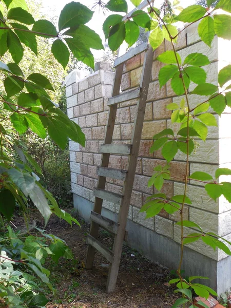 Κατασκευή Κήπου Από Τσιμεντόλιθους Διακοσμητική Επένδυση Μια Ξύλινη Σκάλα Γέρνει — Φωτογραφία Αρχείου