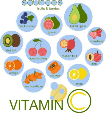 C vitamini kaynakları. Meyve ve böğürtlen seti. Gazlı içecek el yapımı konsept. Vektör çizimi. Siyah frenk üzümü, guava, kakadu eriği, acerola kirazı, kivi, papaya, portakal, bilardo, deniz dikenleri, litchi limonu.