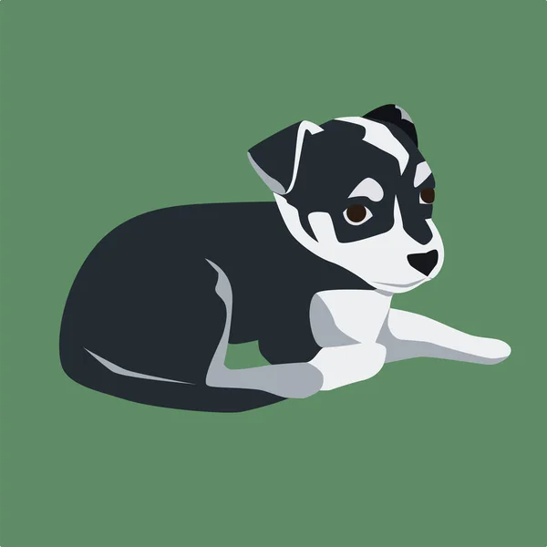 Kleine Zwart Wit Hond Als Jack Russel Terrier Platte Stijl — Stockvector