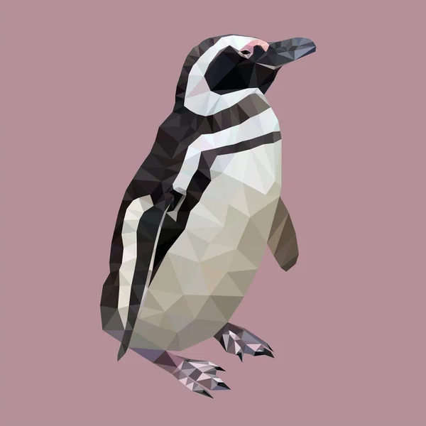 低ポリテクニックベクトルイラストのマゼランペンギン — ストックベクタ