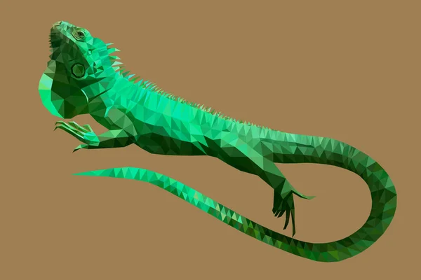도마뱀 Iguana Low Poly Technique Vector Illustration — 스톡 벡터