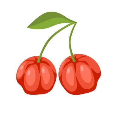 İki kırmızı acerola kiraz üzümü ve yeşil yapraklı el çizimi vektör çizimi beyaz üzerine izole edilmiş zengin vitamin gıdaları..