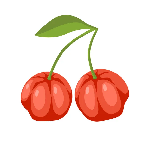 Dvě Červené Acerola Cherry Bobule Zeleným Listem Ručně Kreslený Vektor — Stockový vektor