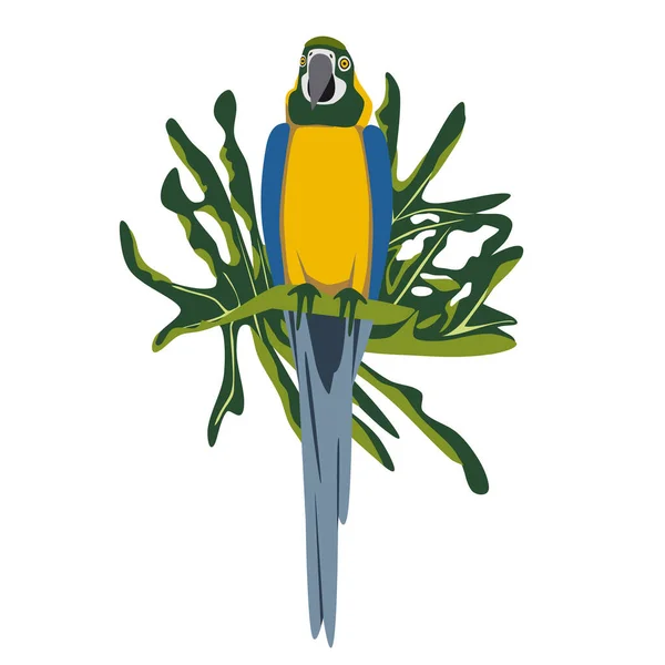 Tropikalny Ręcznie Rysowane Kolorowe Ara Papuga Tła Liści Papuga Macaw — Wektor stockowy
