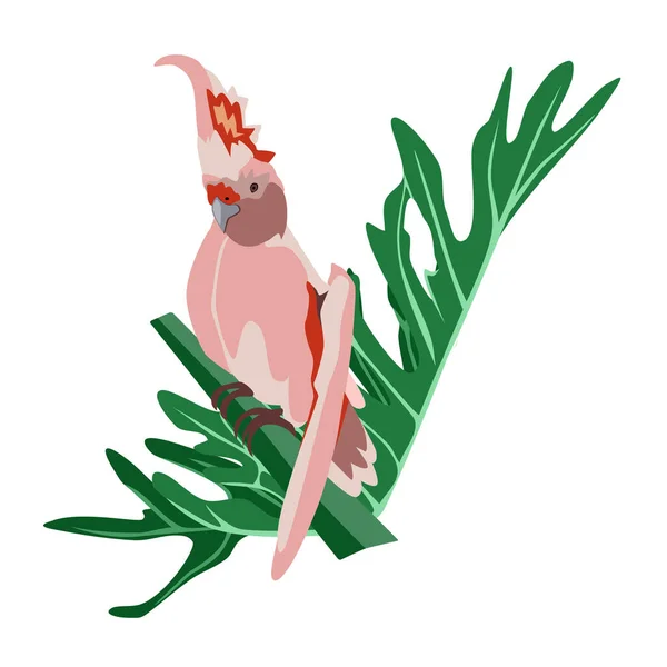 Tropikalna Ręcznie Rysowane Kolorowe Papugi Roślin Liści Kakadu Różowe Śliwki — Wektor stockowy
